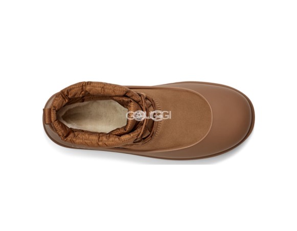 Classic Mini Lace-Up Weather Chestnut