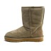 Ugg Classic Short Beige