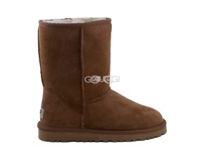 Men Classic Short Chestnut  1