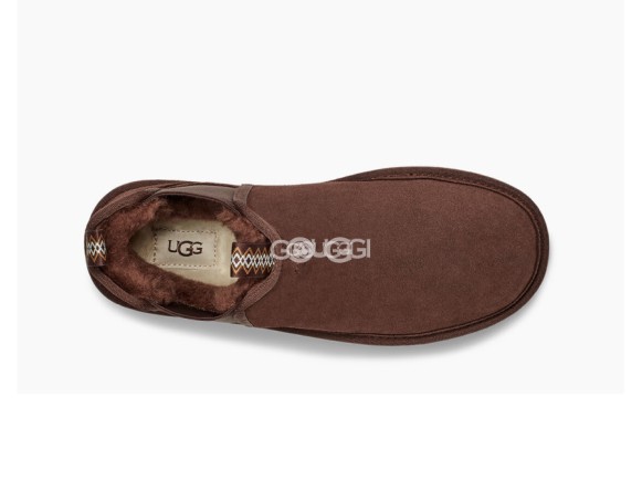 Neumel Chelsea - CGrizzly